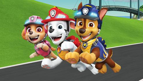 Paw Patrol S07 B22